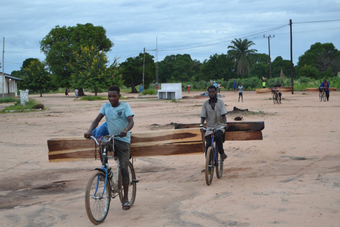 Ciclistas “usados” na exploração ilegal da madeira em Nampula
