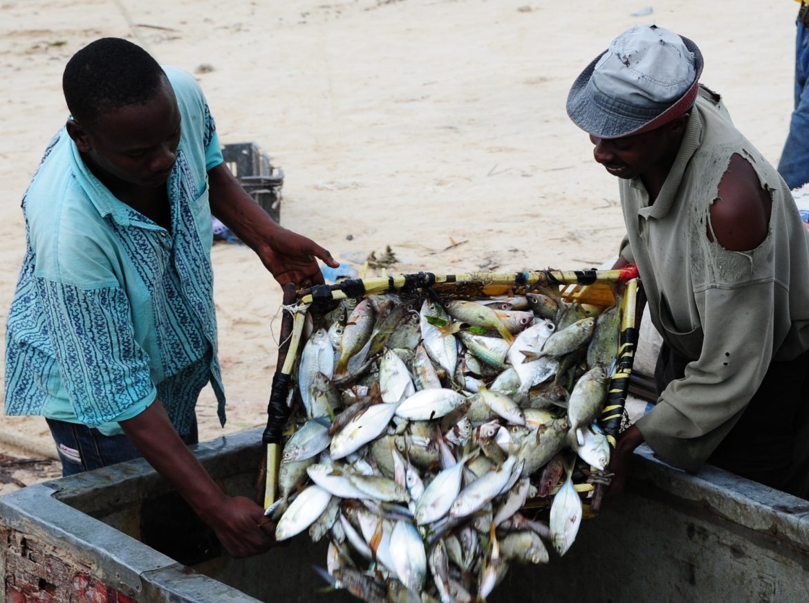 Nampula espera capturar 89 mil toneladas de pescado diverso
