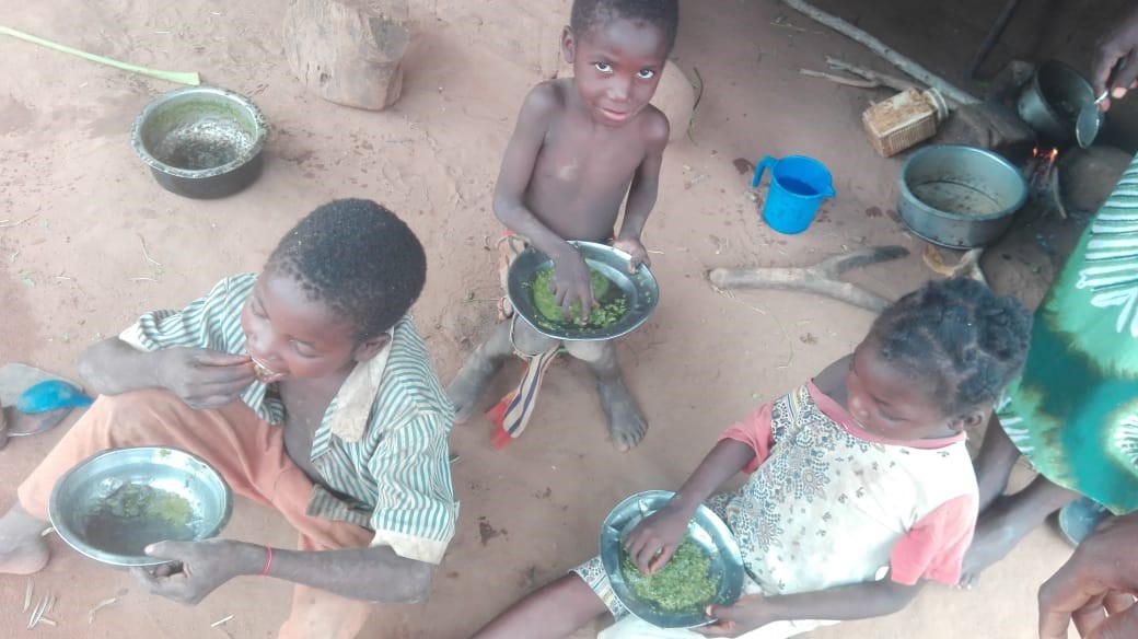 Nampula: Redução da desnutrição crónica em “marcha lenta”