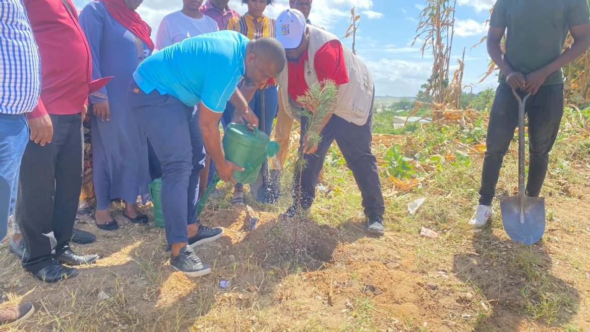 Jornalistas envolvem-se no combate a erosão em Nacala