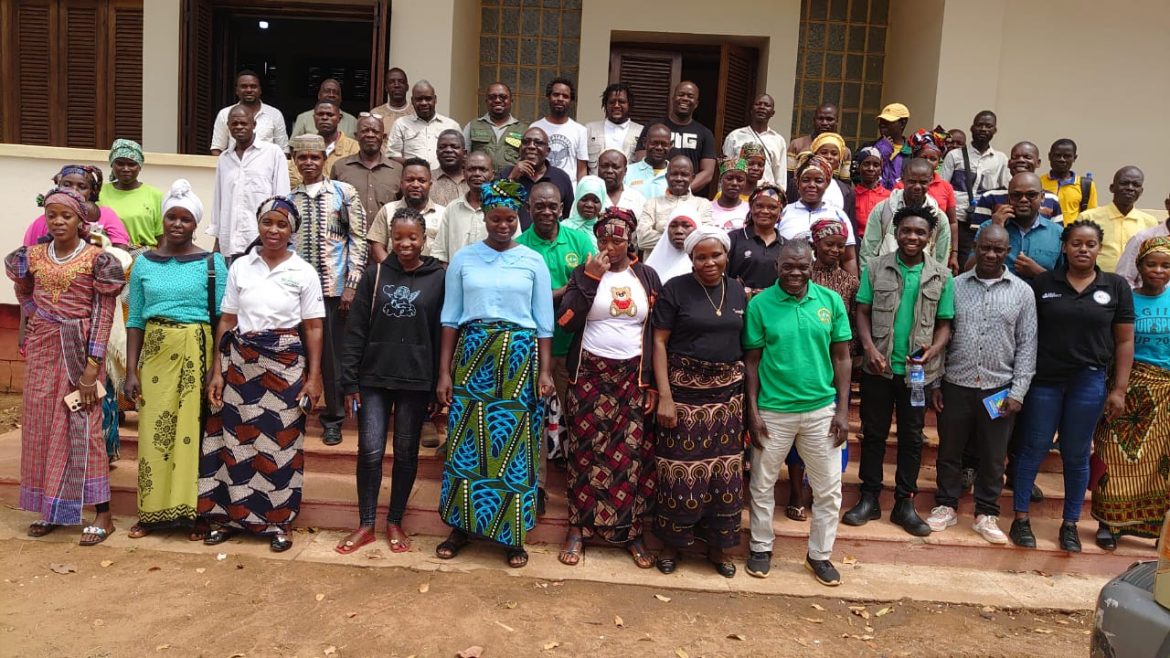 Preços de agroquímicos sufocam os produtores de algodão