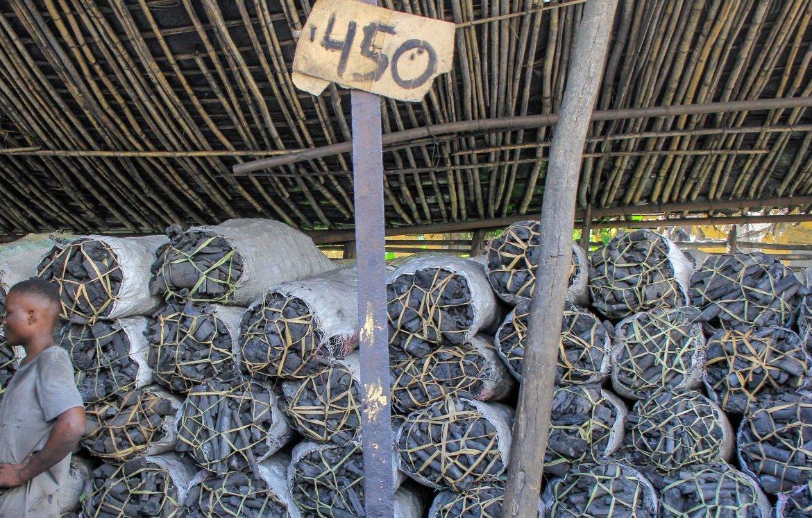 Carvão, madeira e lenha circulam ilegalmente em Nampula