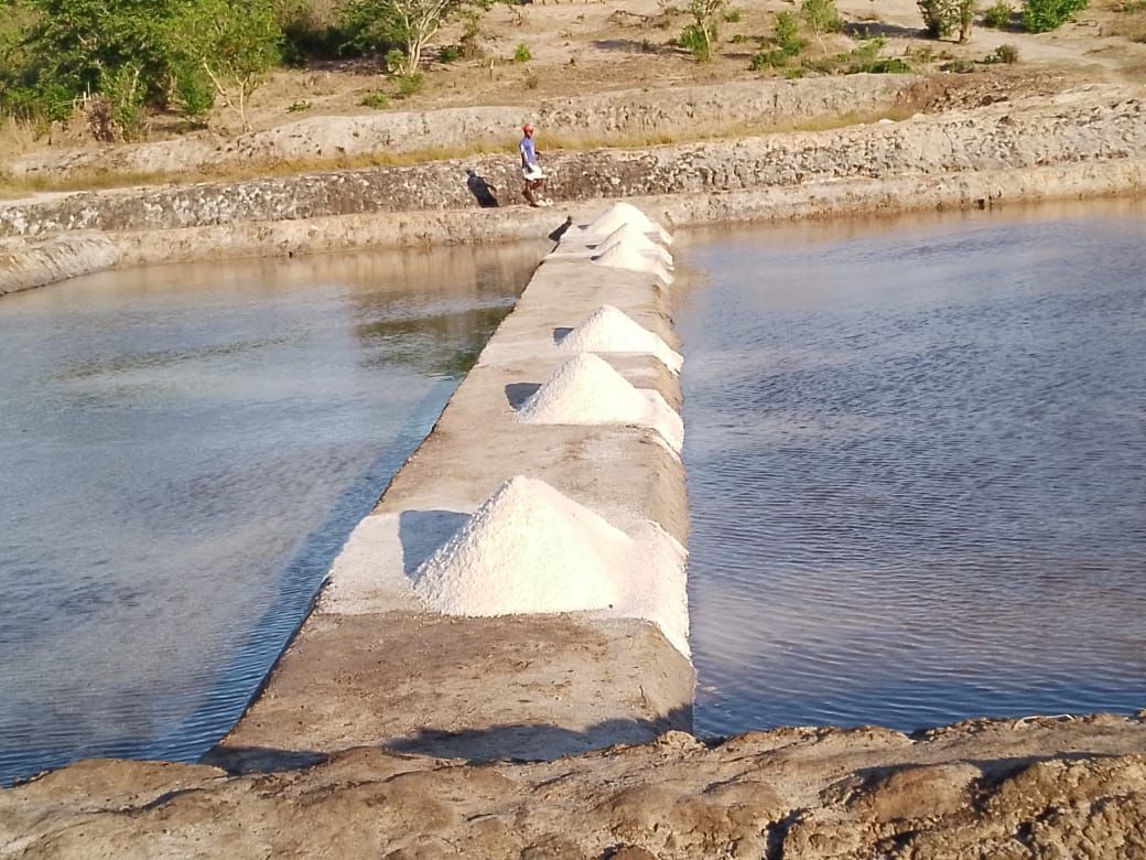 Festival do Sal promete agitar Mossuril em Novembro