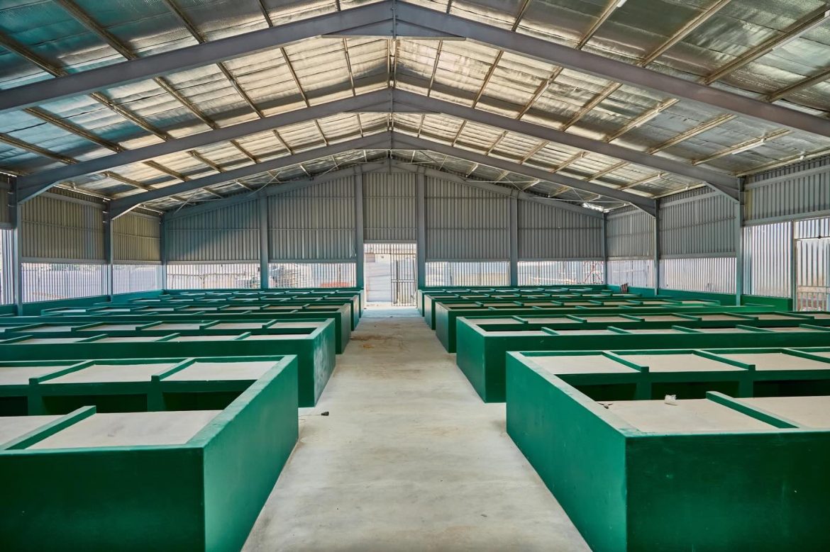 Mercado do peixe dos Belenenses quase pronto para entrega