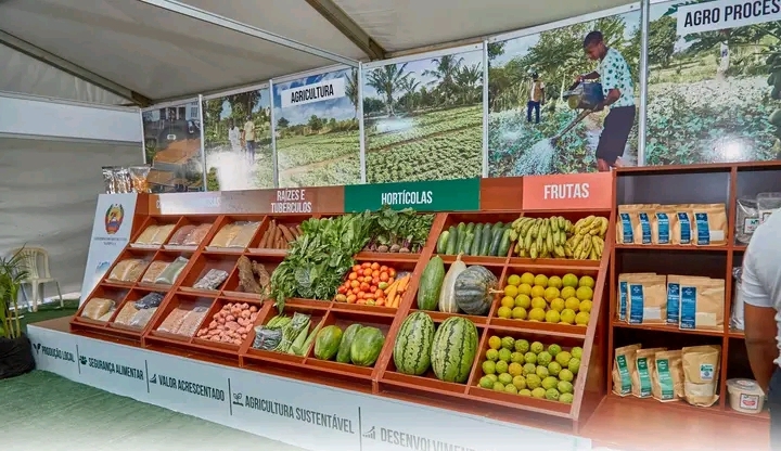 CINA avalia avanços no combate à desnutrição crónica em Nampula
