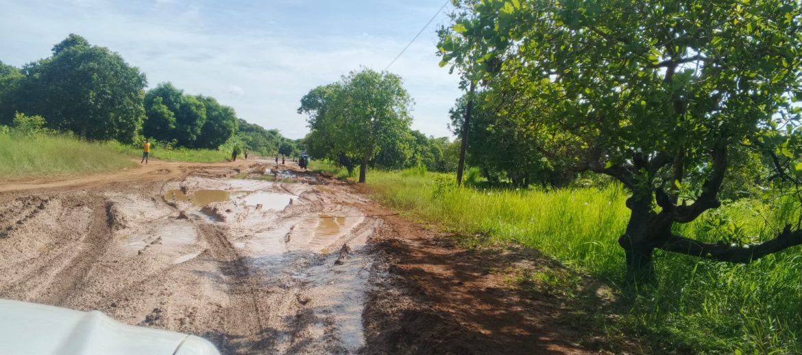 Asfaltagem da estrada Nametil-Moma mais perto de se tornar realidade