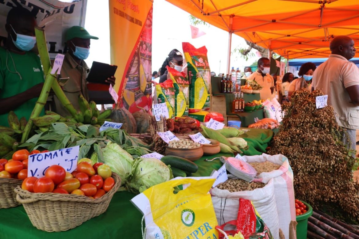 Produtores denunciam preços baixos na venda de excedentes