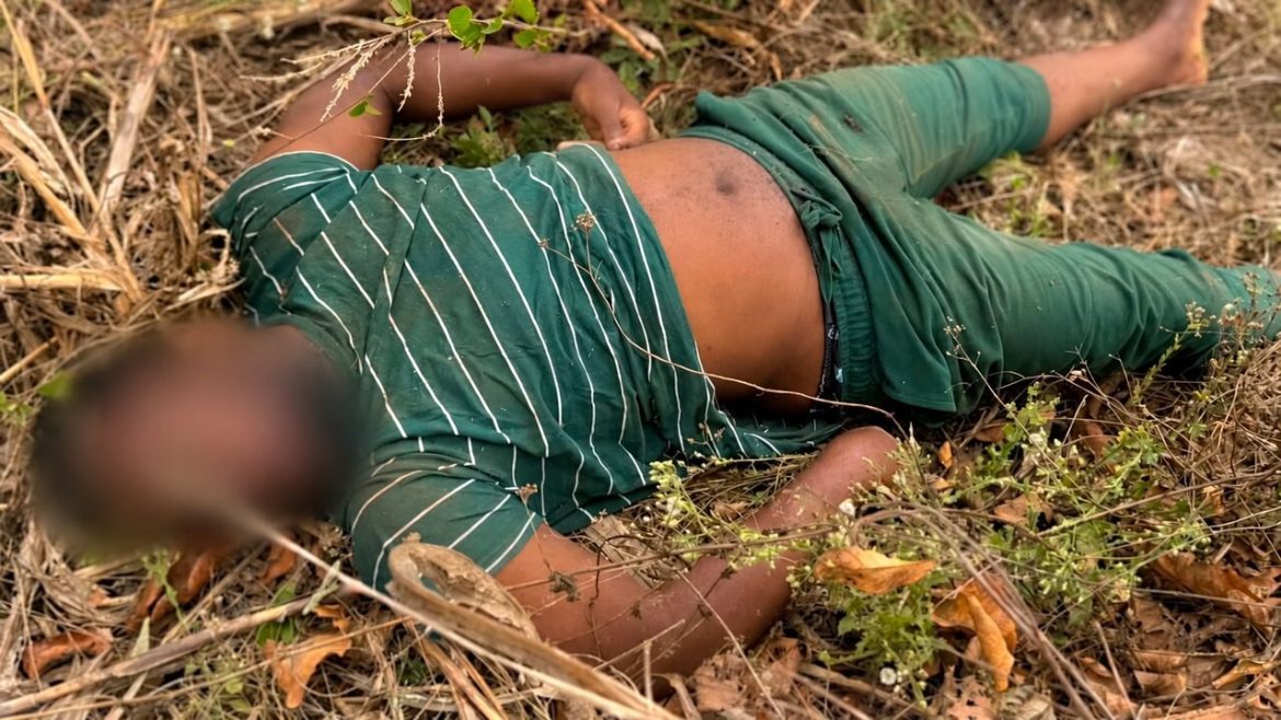Três pessoas encontradas mortas uma das quais decapitada em Nacavala